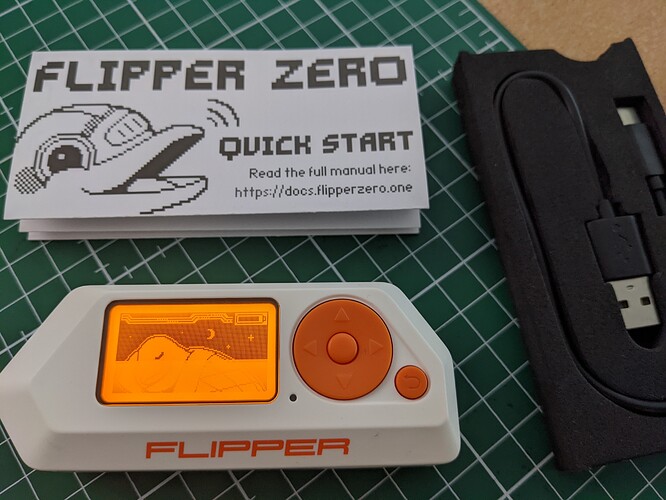 Flipper Zero Screen Defect